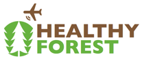 healthy_forest